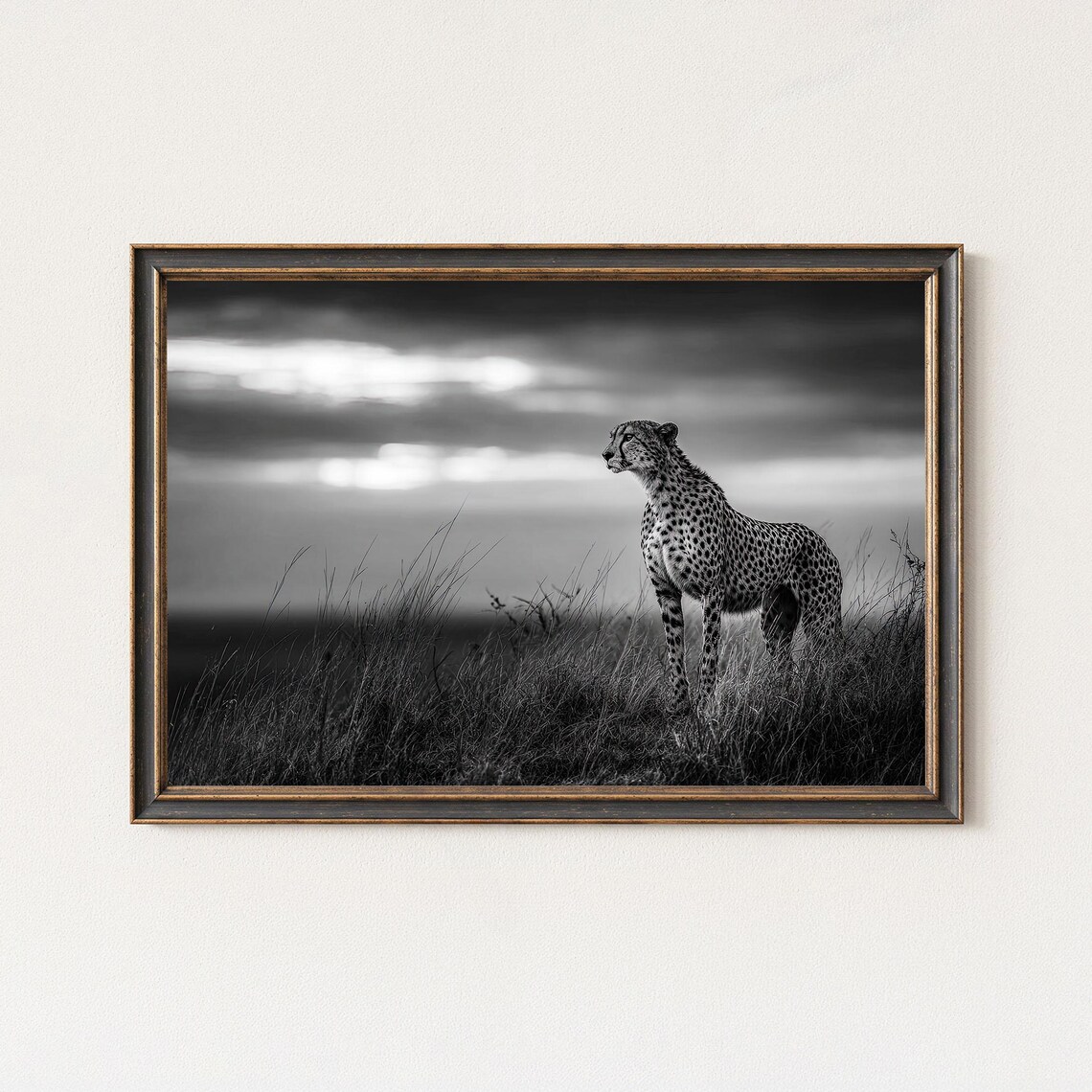 Black And White Cheetah Print Minimalist African Wildlife Photography