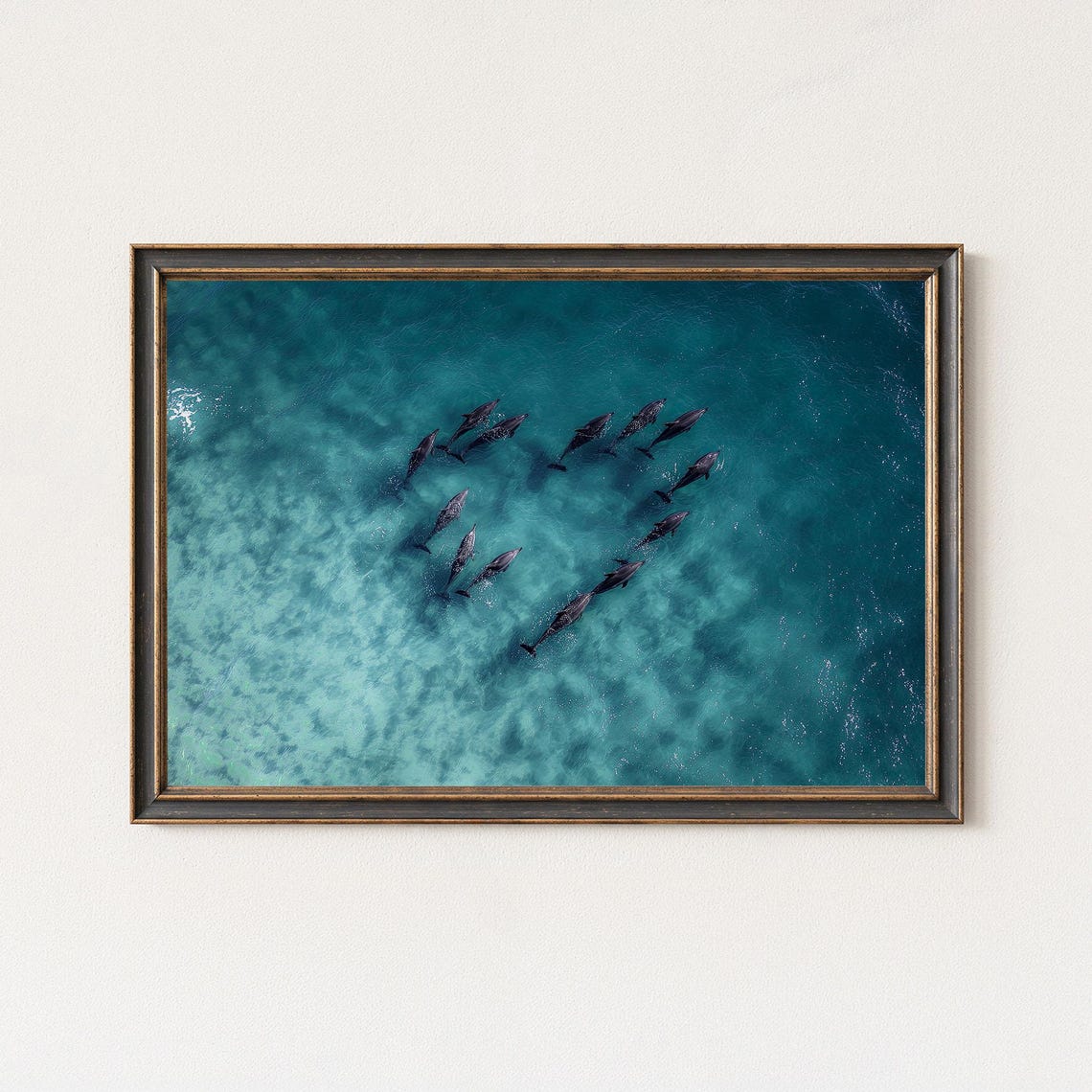 Aerial Dolphin Heart Photography Ocean Wildlife Print