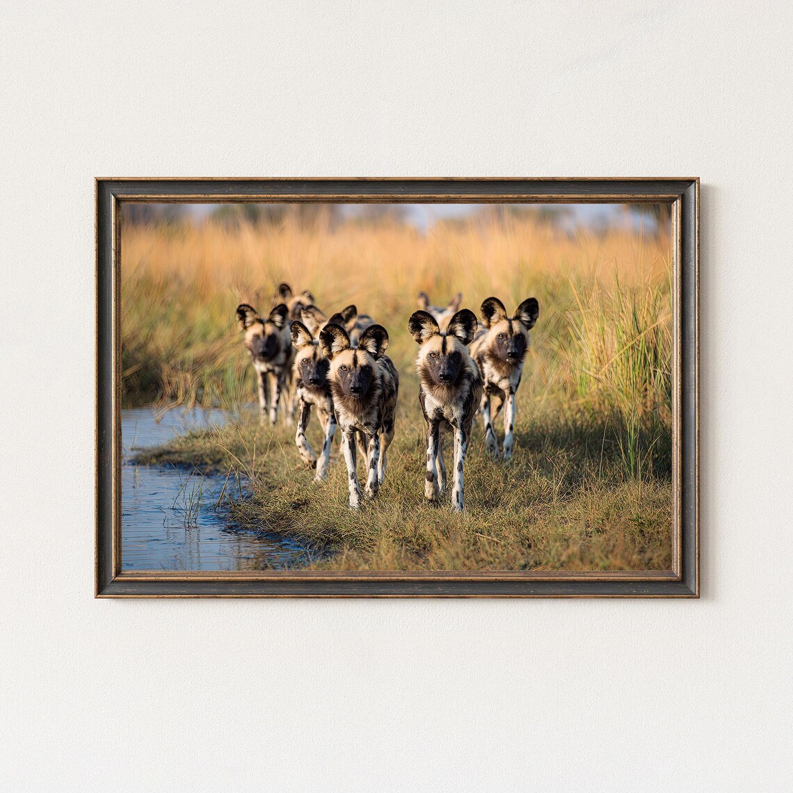 African Wild Dogs Pack Safari Wildlife Photography Nature Poster