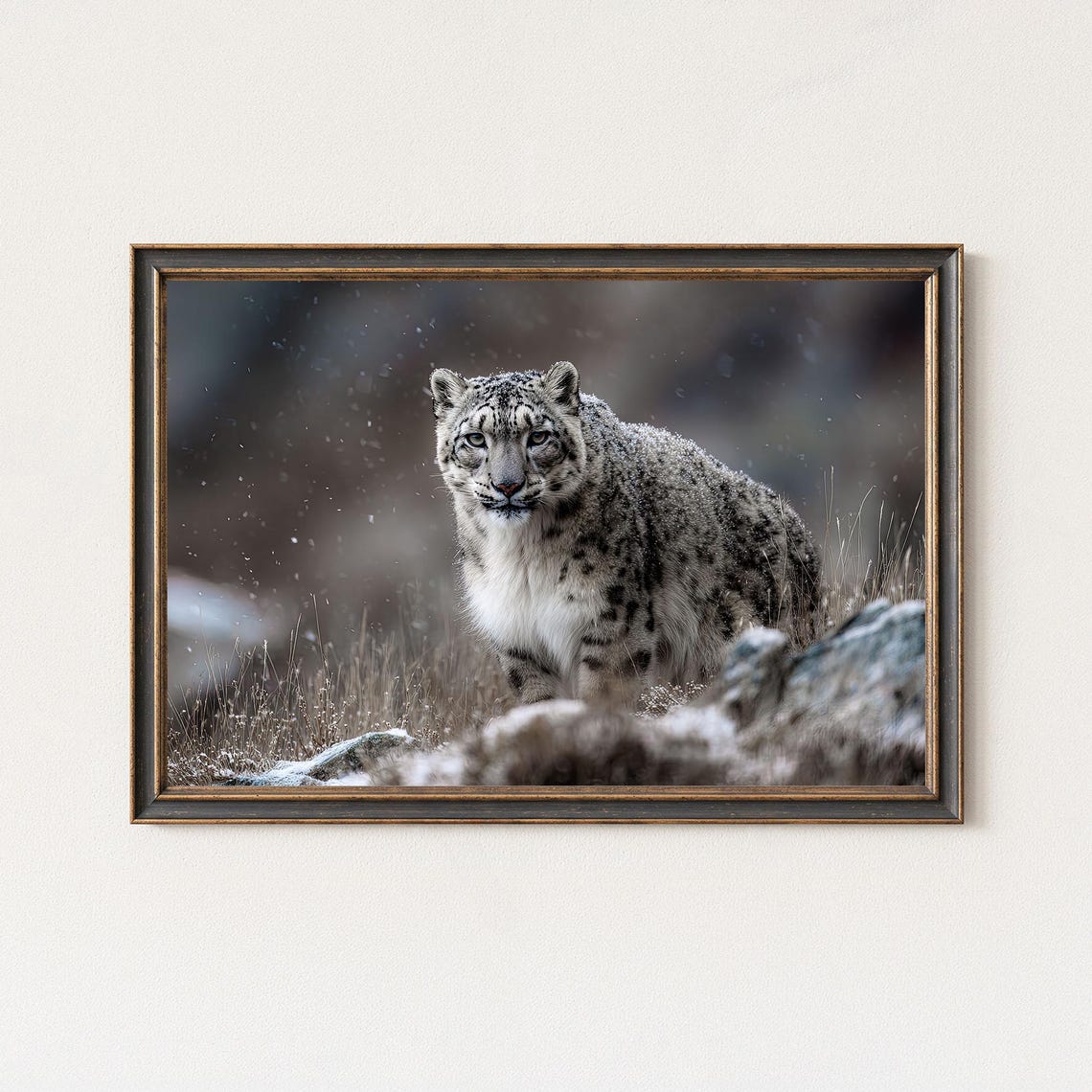 Snow Leopard In Snowfall Himalayan Mountain Wildlife Photo Print