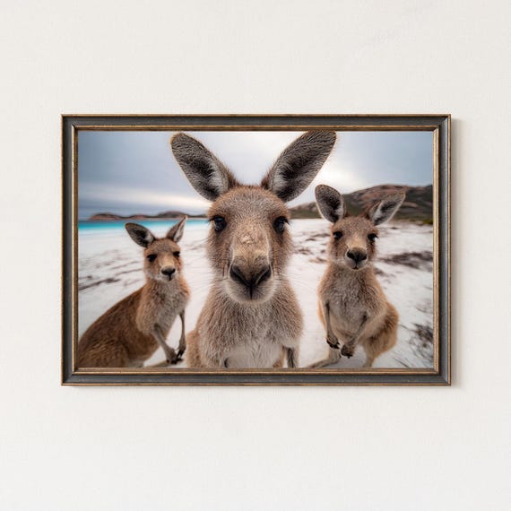 Kangaroo Beach Print, Lucky Bay Australia