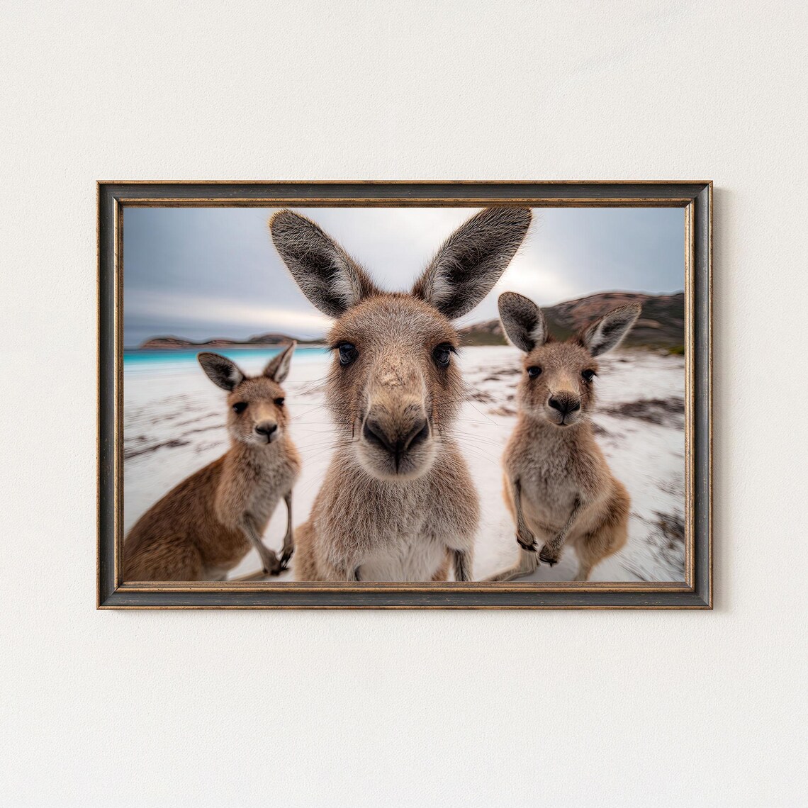 Kangaroo Beach Print, Lucky Bay Australia