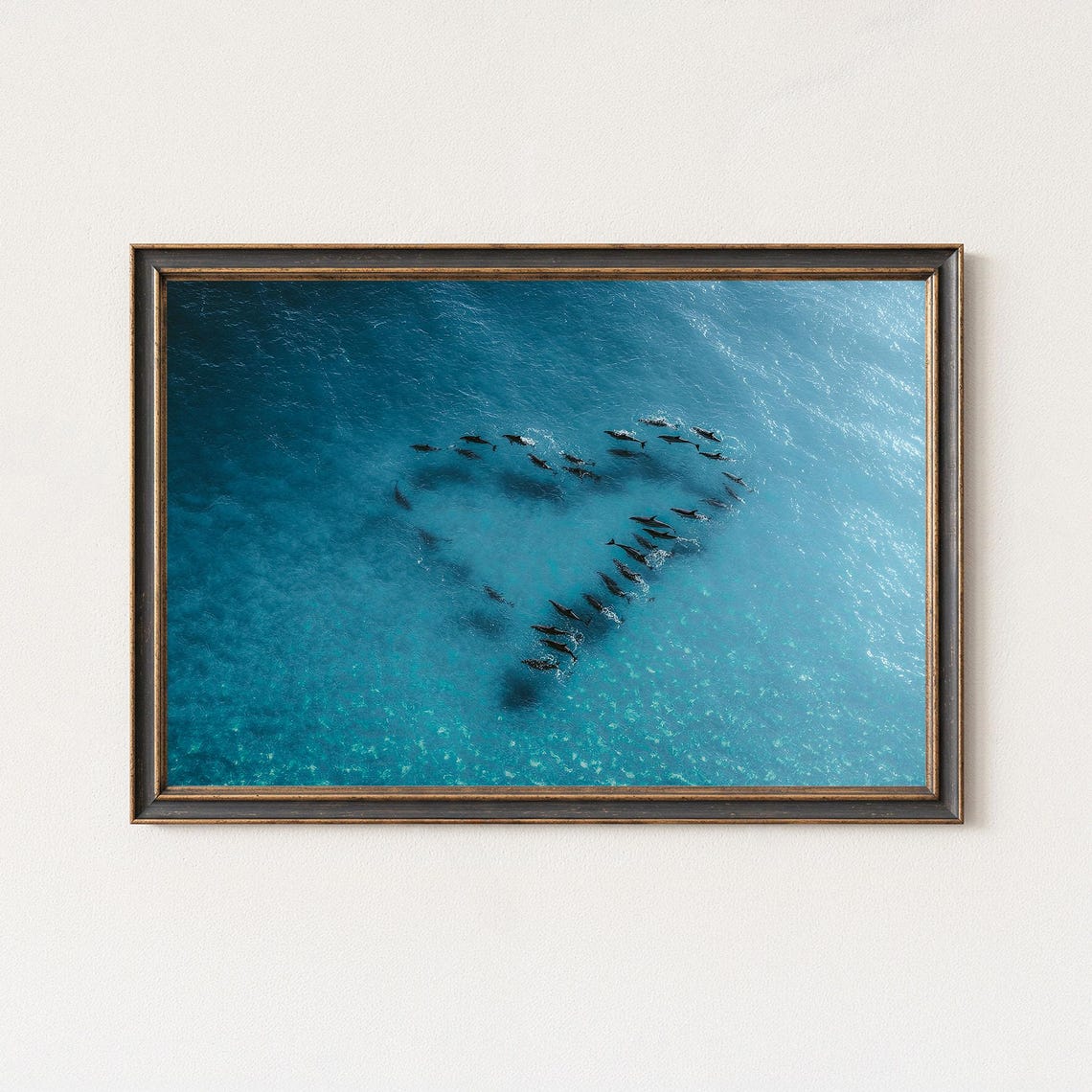 Aerial Dolphin Heart Photography Ocean Love Wall Art