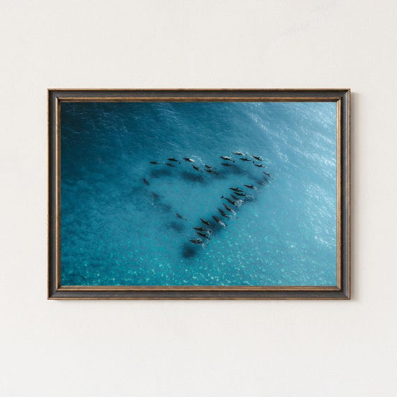 Aerial Dolphin Heart Photography Ocean Love Wall Art