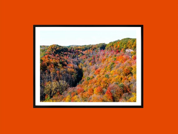 Autumn Forest Fall Foliage Aerial Landscape Photography Poster
