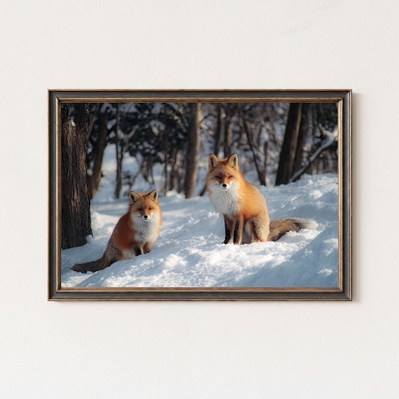 Two Red Foxes Snowy Winter Forest Wildlife Photography Poster
