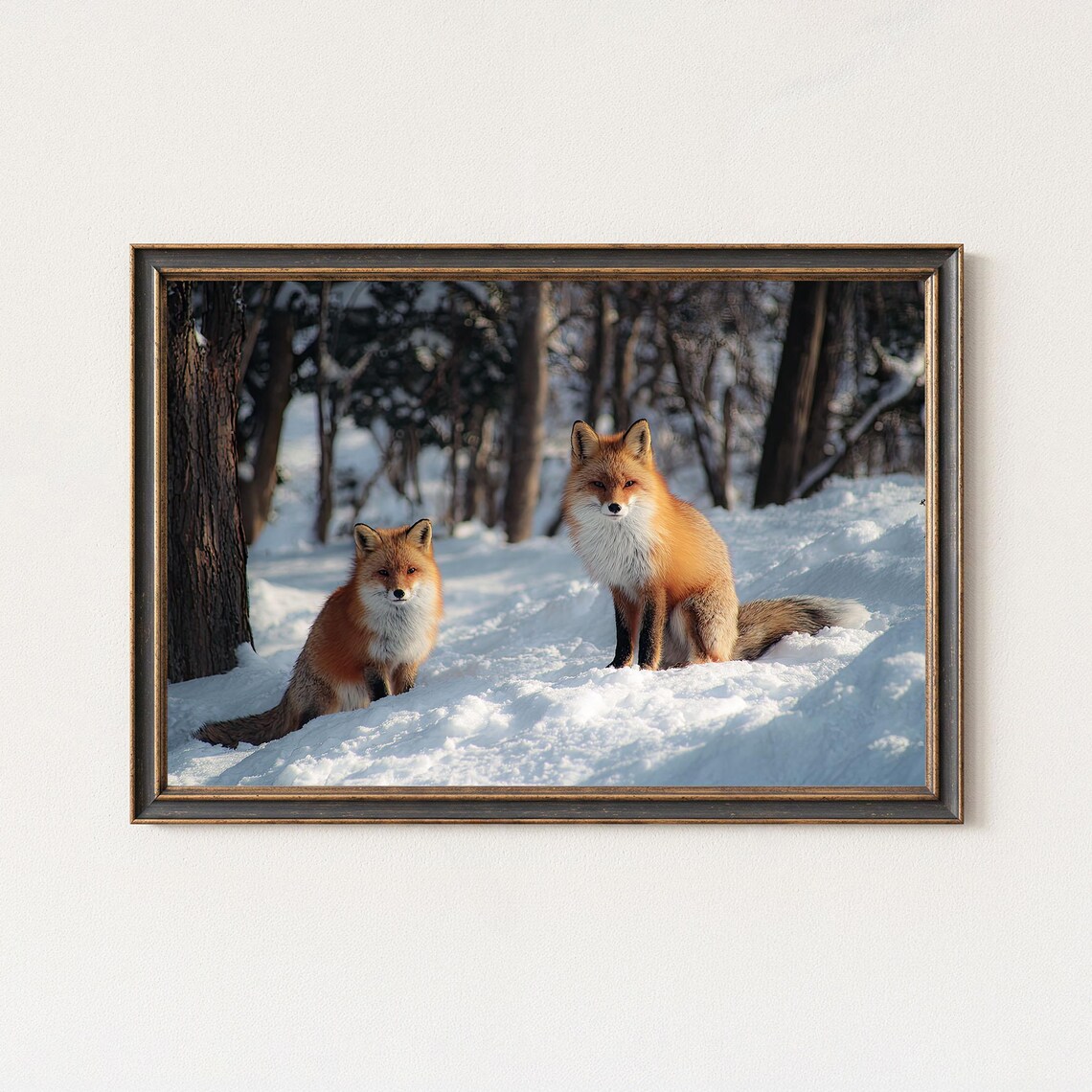 Two Red Foxes Snowy Winter Forest Wildlife Photography Poster