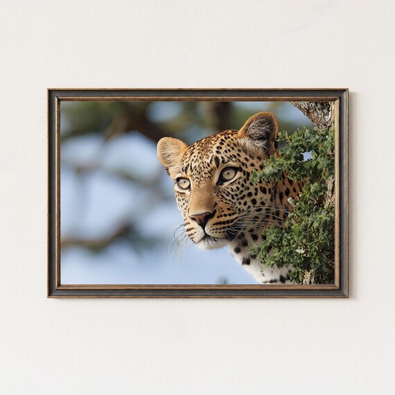 Leopard Portrait Wall Art Safari Wildlife Print