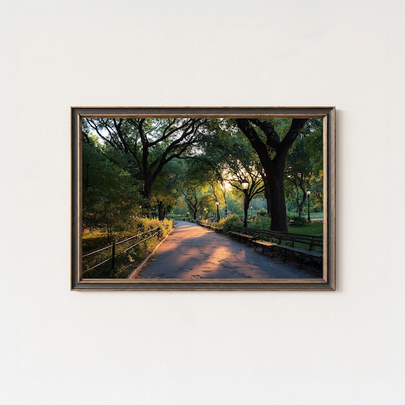 Central Park Golden Hour Pathway Sunlit Trees NYC Photo Poster