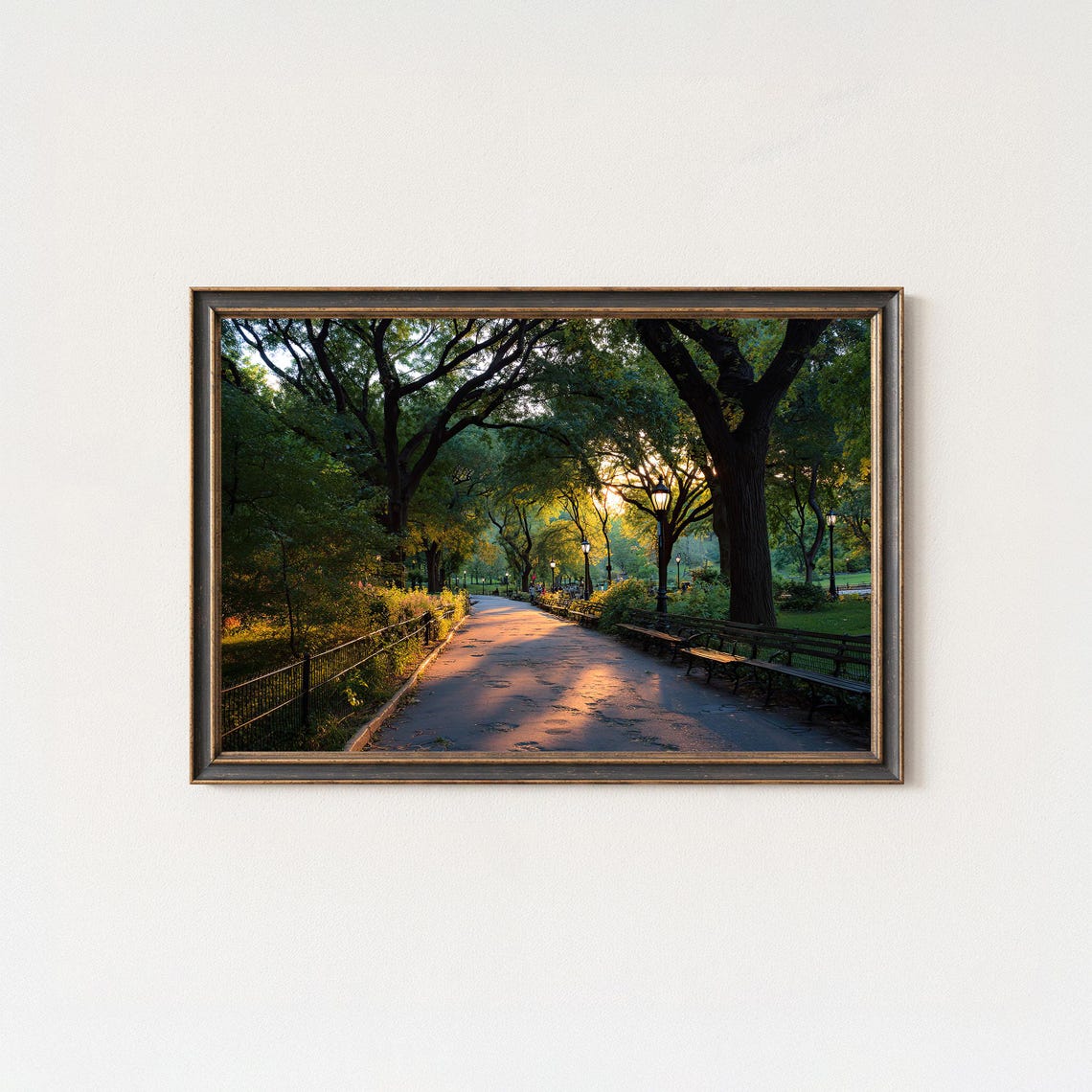 Central Park Golden Hour Pathway Sunlit Trees NYC Photo Poster