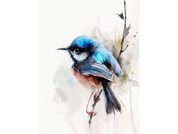 Fairy Wren Painting Watercolor Art Print