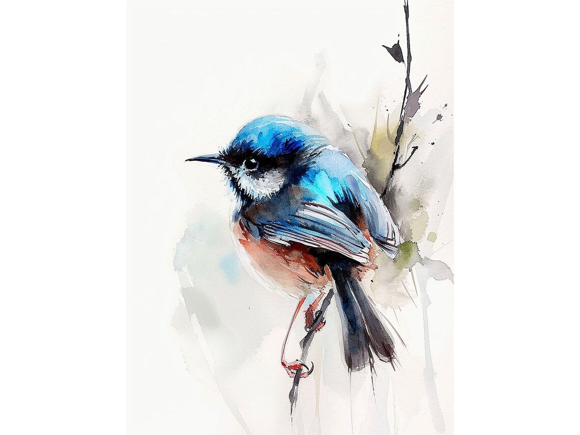 Fairy Wren Painting Watercolor Art Print
