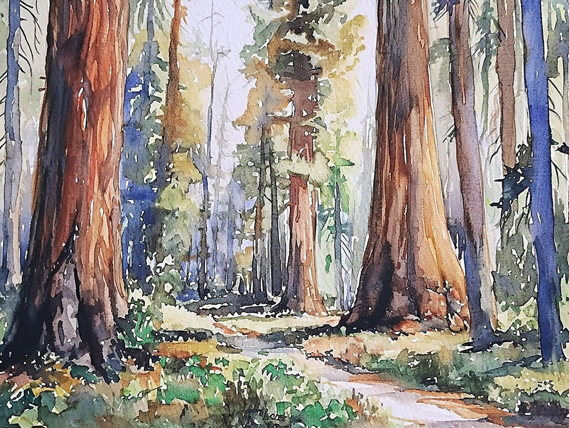 Sequoia National Park Watercolor Art Print