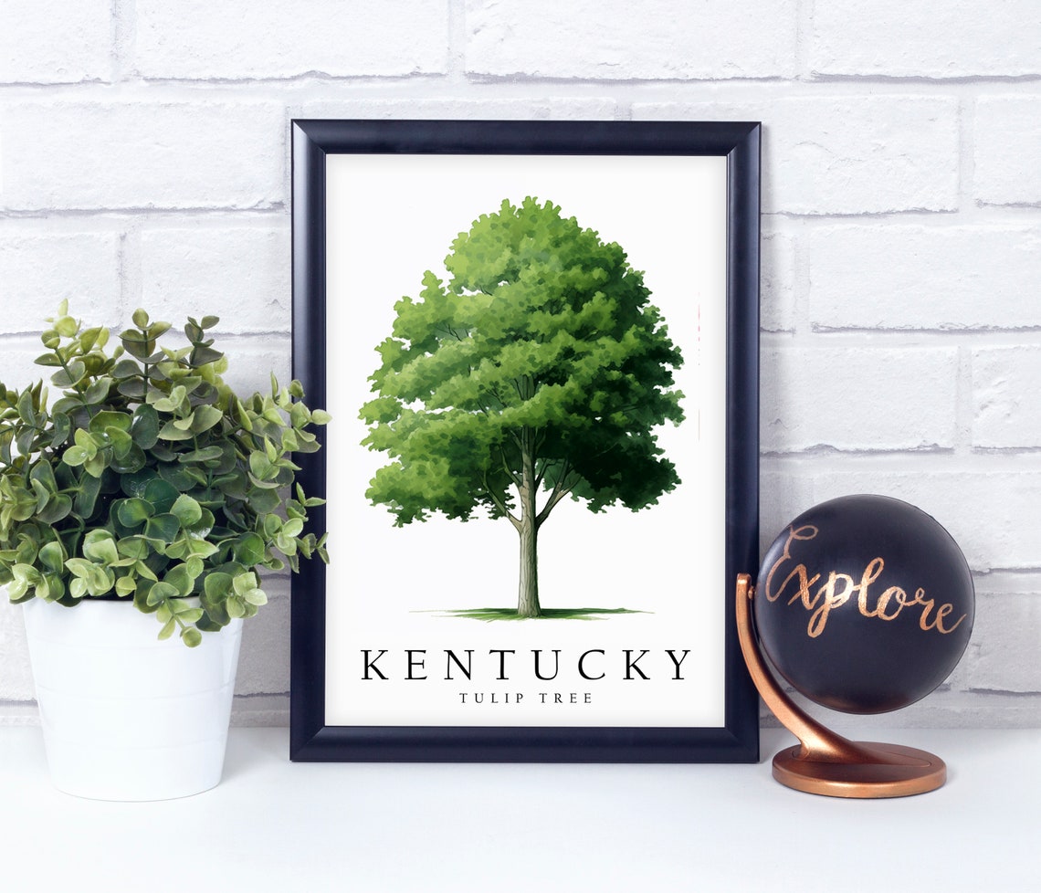 Kentucky Tulip Tree State Tree Botanical Watercolor Art Poster