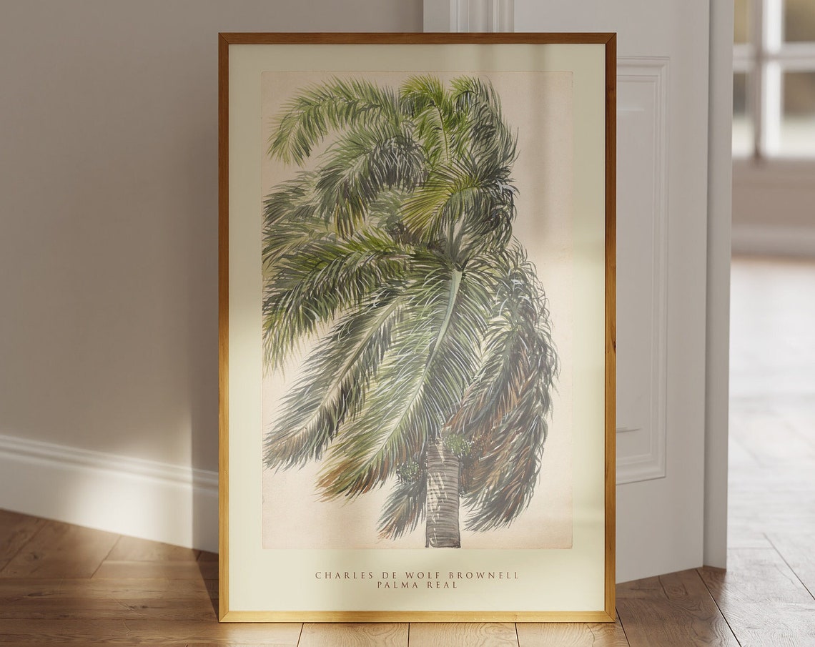 Charles De Wolf Brownell Palma Real Palm Tree Watercolor Poster