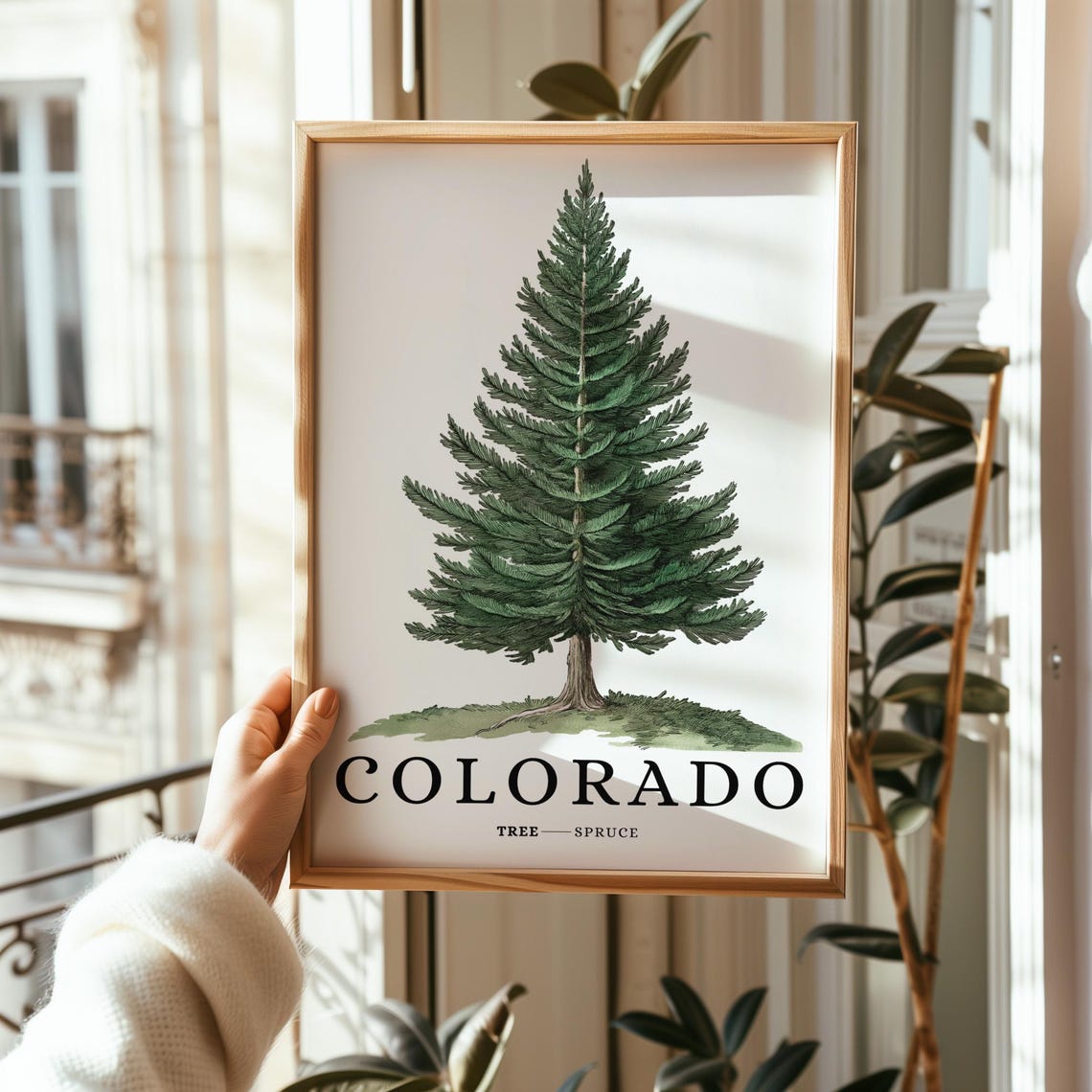 Colorado Spruce Tree Botanical Minimalist Western State Symbol Poster - Image 2