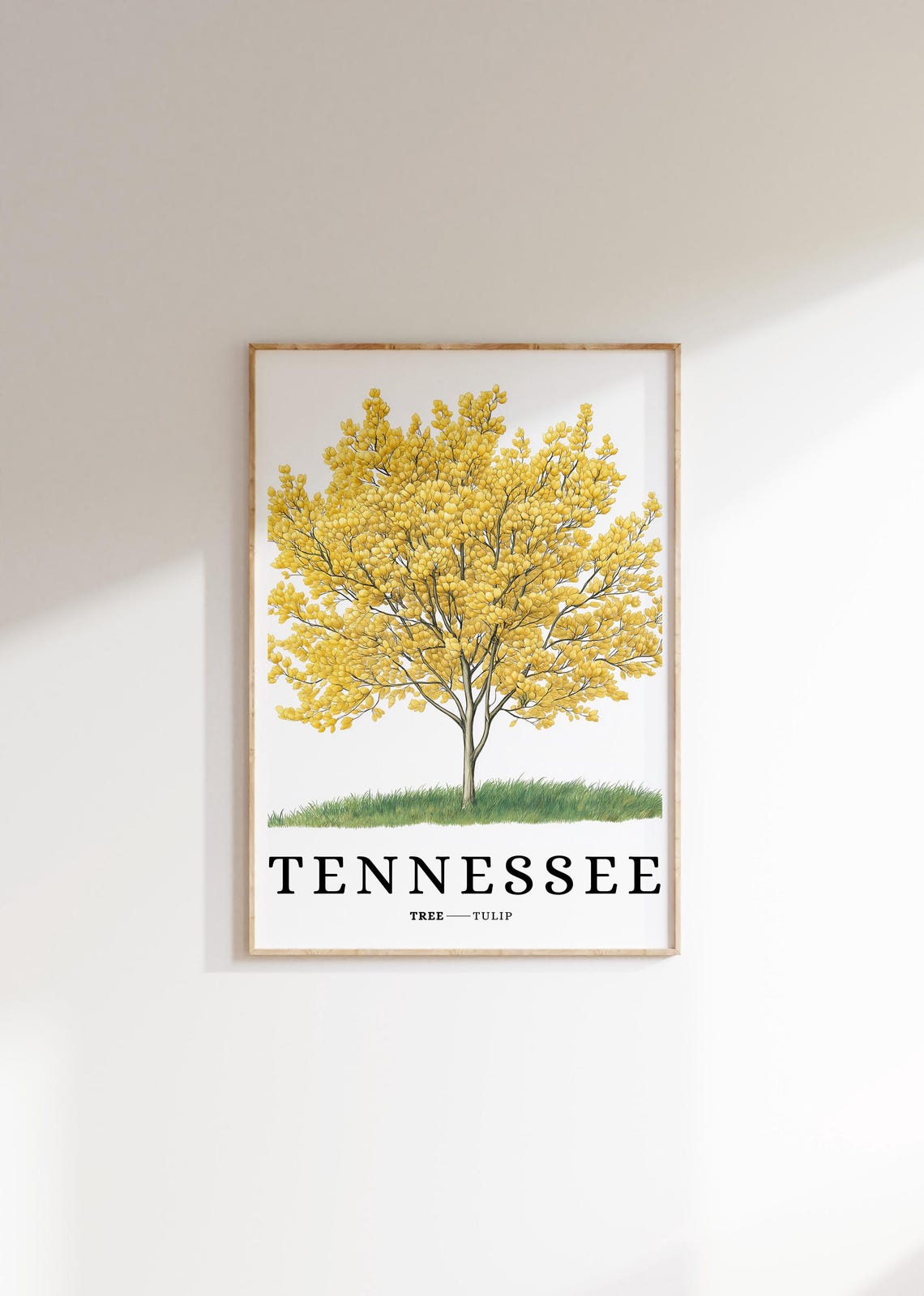 Tennessee Tulip Tree Yellow Blossom Botanical Southern State Poster