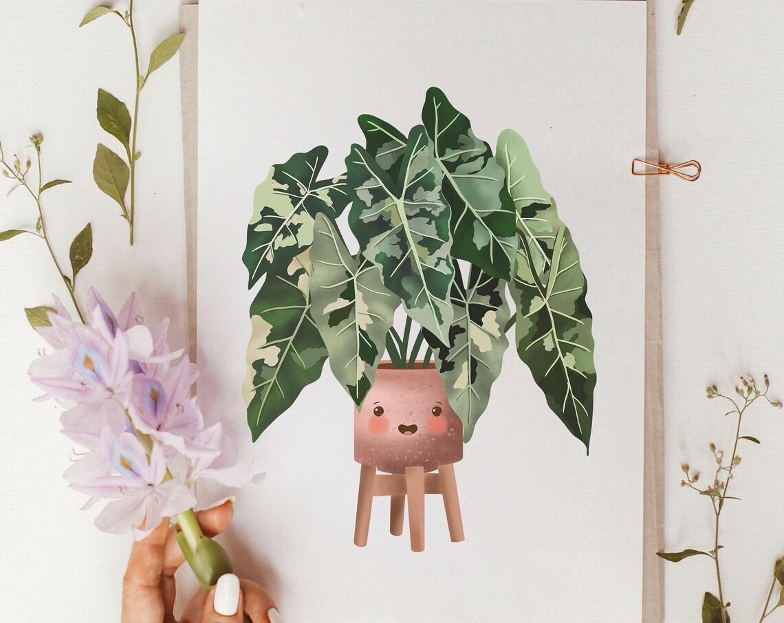 Variegated Philodendron Burle Marxii Cute Kawaii Plant Poster