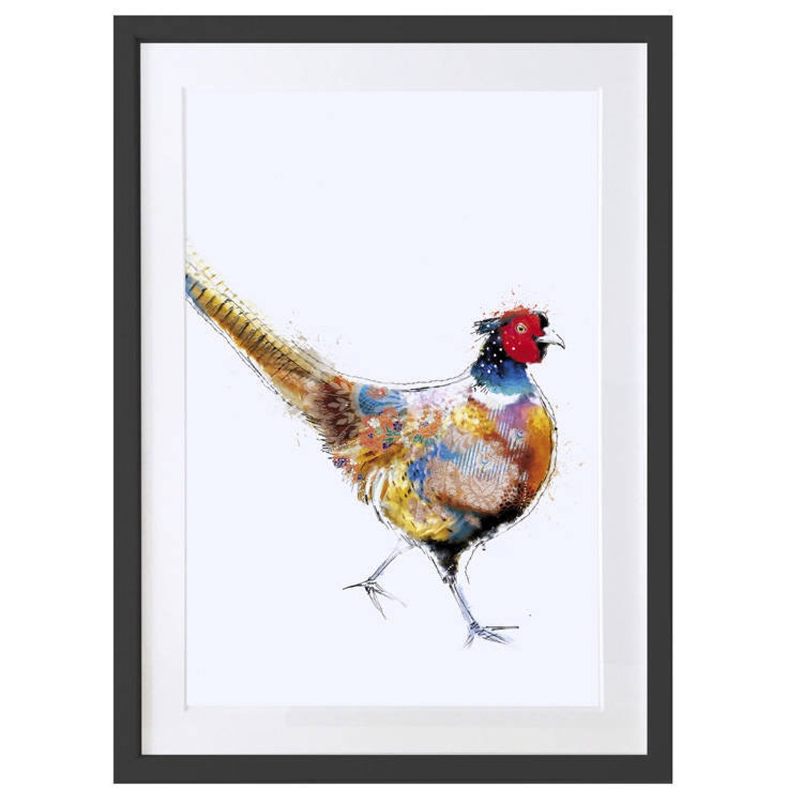 Pheasant Art Print