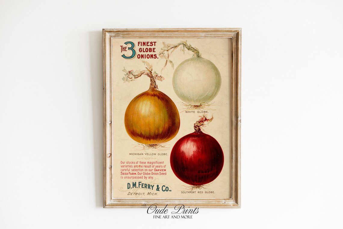 Onion Catalog Cover, 1920s Vegetable Seed Poster - Image 2