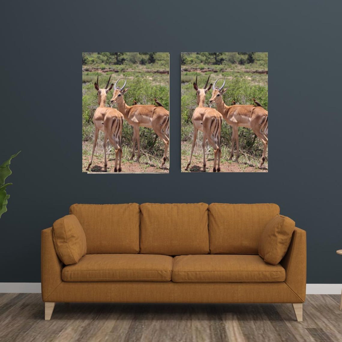 Impalas Art Print, Africa Game Reserves - Image 3