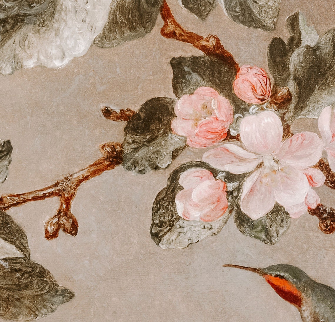 Apple Blossom Hummingbird Vintage Botanical Painting Art Poster - Image 2