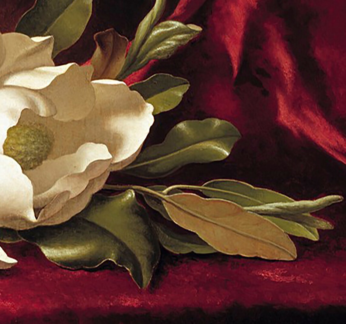White Magnolia Blossom on Red Velvet Vintage Botanical Poster - Image 2