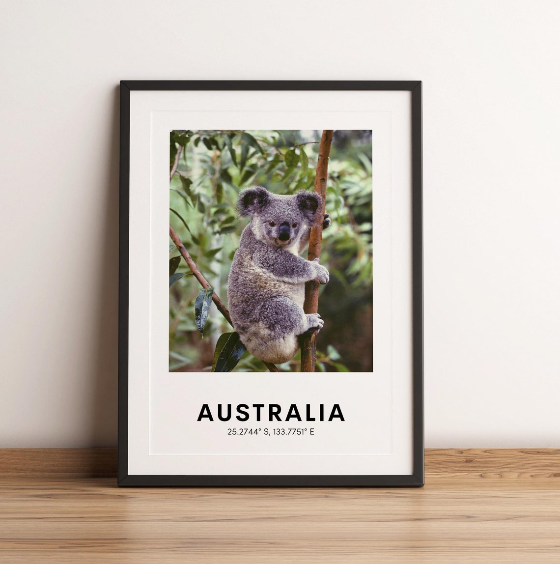 Australia Print Koala Print Australia Wall Art Koala Australia Travel Poster Ocean Photography