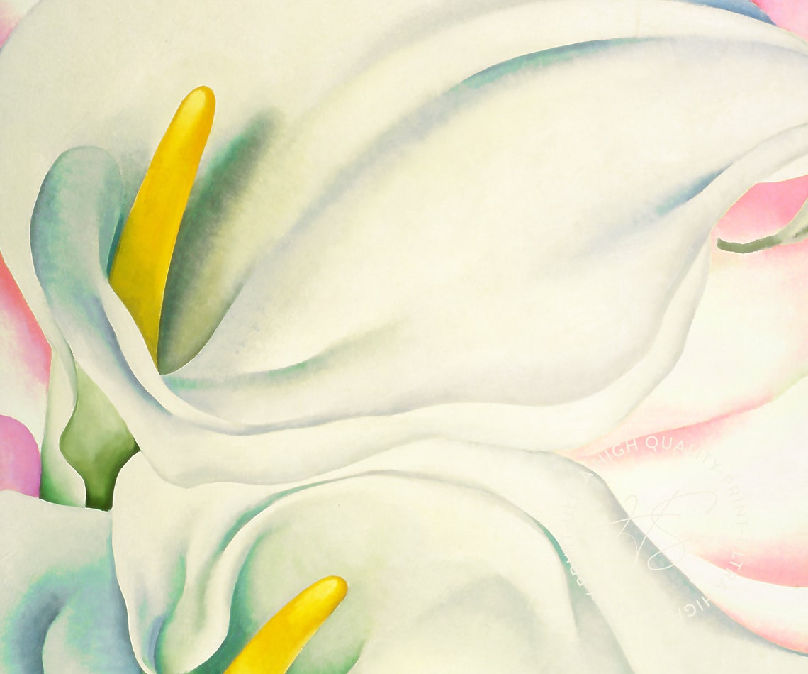 Georgia O'Keeffe Two Calla Lilies Pink Tate Botanical Art Poster - Image 4