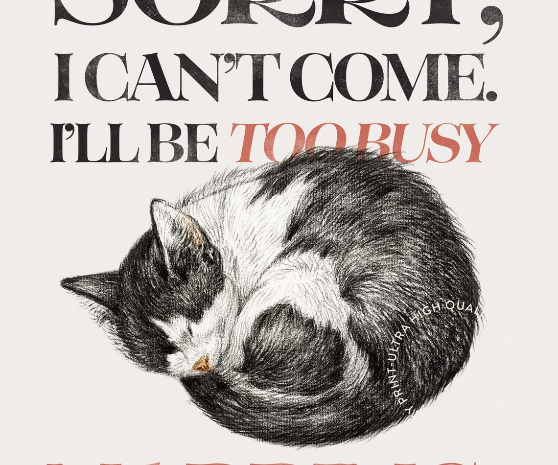 Sorry Too Busy Napping Funny Sleeping Cat Sketch Humor Quote Poster - Image 5