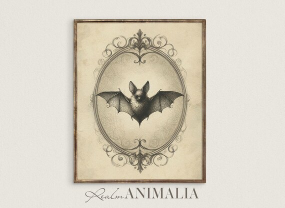 Bat Sketch Vintage Victorian Drawing Ornate Oval Frame Sepia Halloween Print