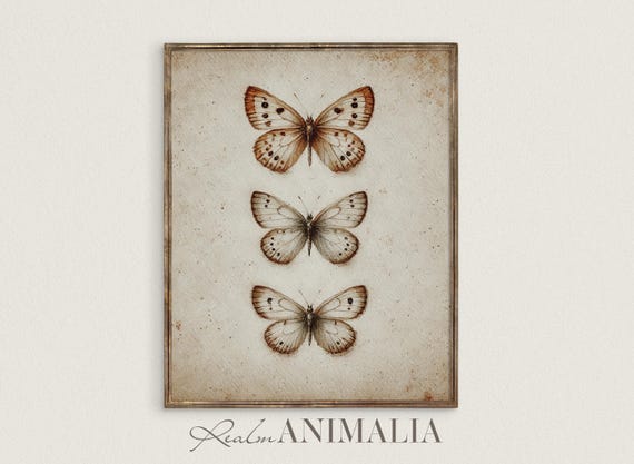 Vintage Butterfly Art Print Neutral Wall Art Cottagecore Decor Butterflies Insect Chart Minimalist Prints Nursery Art Sg117