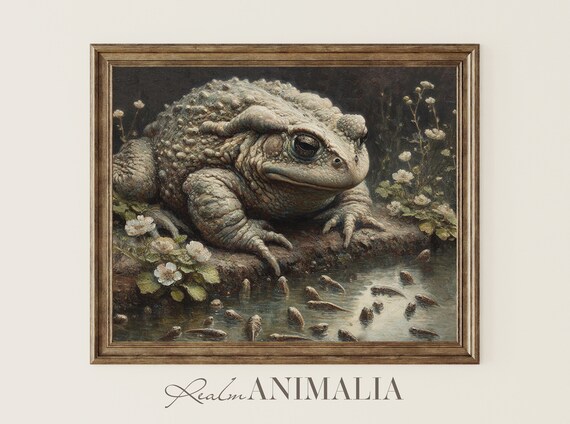 Vintage Toad With Tadpoles Nature Scenery Art Print