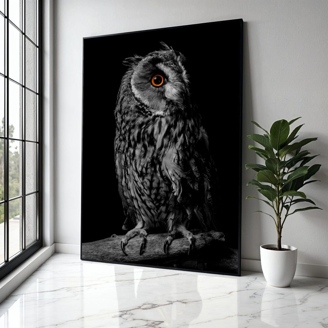 Long Eared Owl Portrait Single Orange Eye Black Background Poster