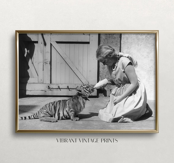 Girl Bottle Feeding Baby Tiger Cub Vintage Black And White Art Print
