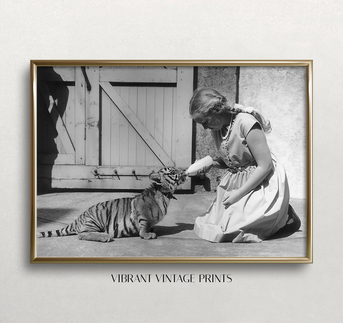 Girl Bottle Feeding Baby Tiger Cub Vintage Black And White Art Print