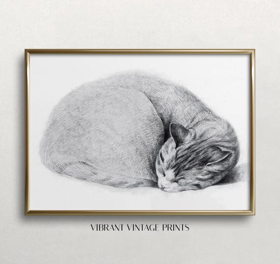 Sleeping Cat Vintage Etching Art Print