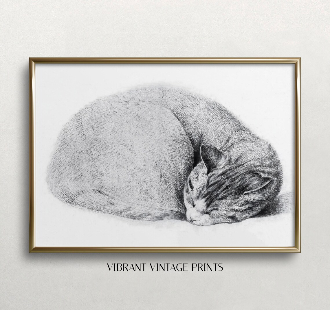 Sleeping Cat Vintage Etching Art Print