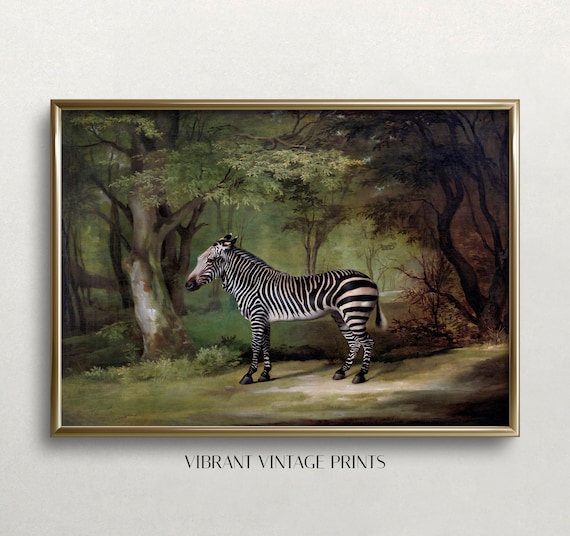 Vintage Zebra Wall Art, Antique Dark Aesthetic Poster