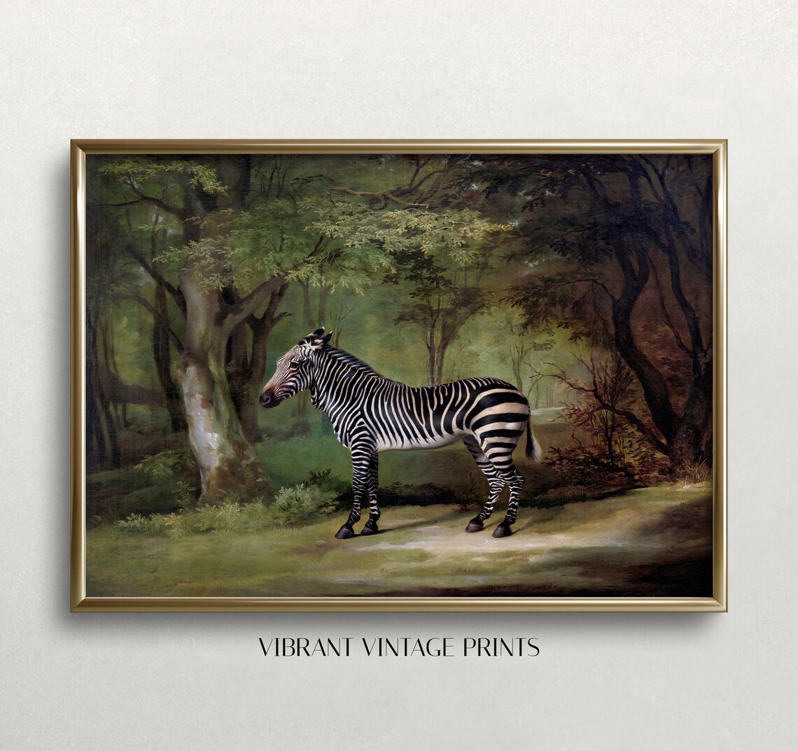 Vintage Zebra Wall Art, Antique Dark Aesthetic Poster