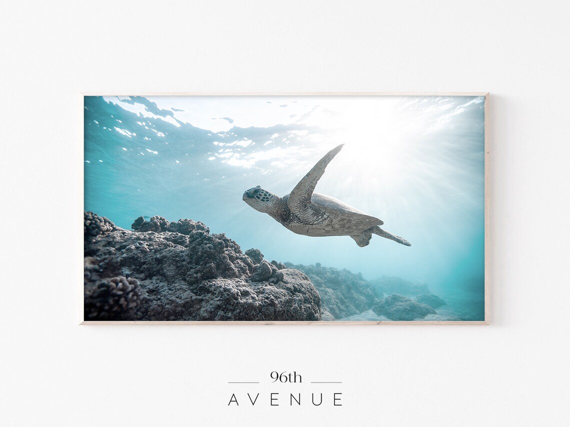 Sea Turtle Beach Art Print, Summer Decor