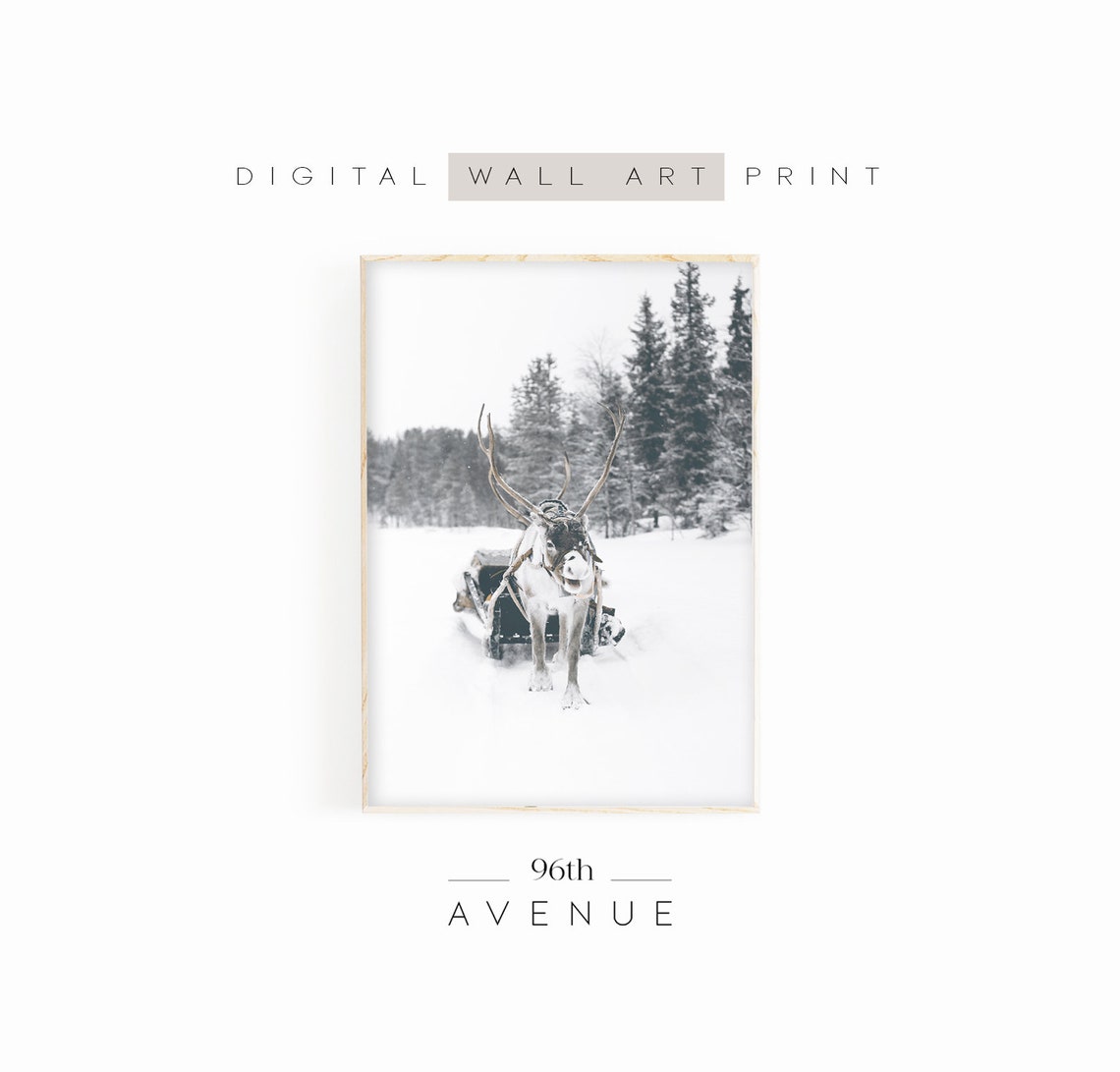 Winter Deer - Christmas Wall Art
