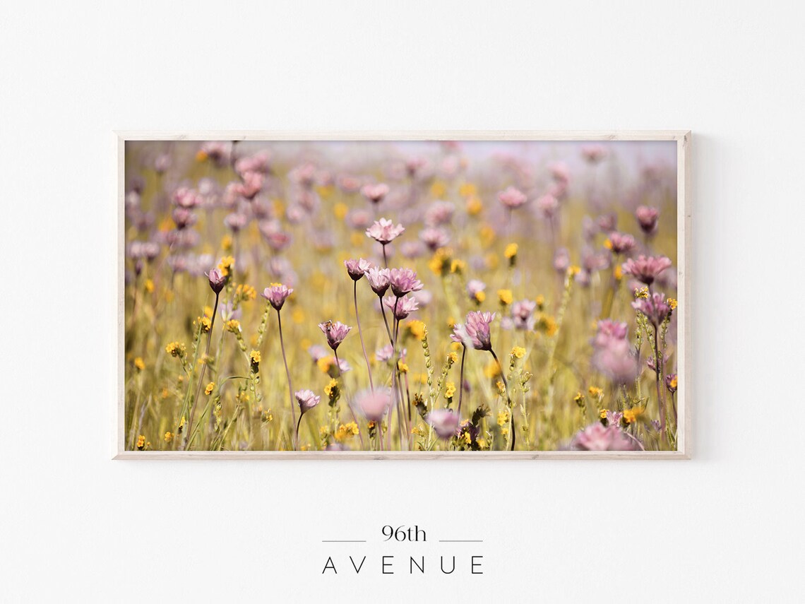 Pink and Purple Wildflowers Field Spring Meadow Photography Print
