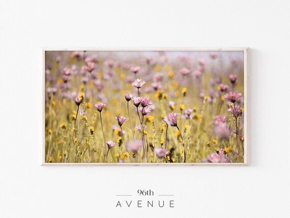 Pink and Purple Wildflowers Field Spring Meadow Photography Print