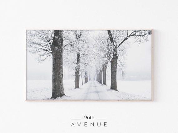 Winter Trees Seasonal Art Print for TV Decor