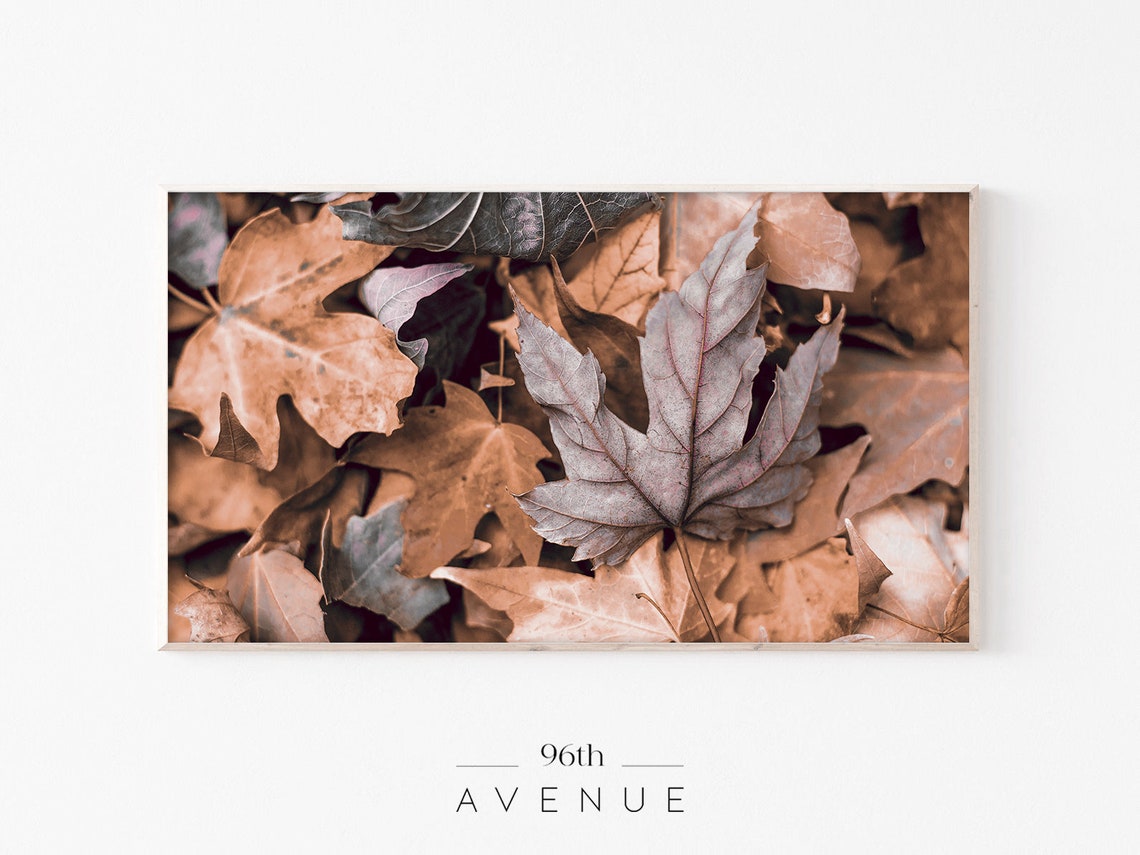 Close Up Brown Autumn Maple Leaves Rustic Fall Foliage Poster