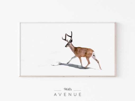 Winter Deer Art for TV
