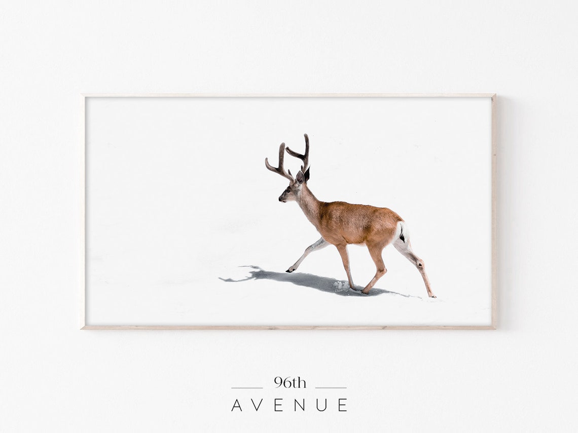 Winter Deer Art for TV