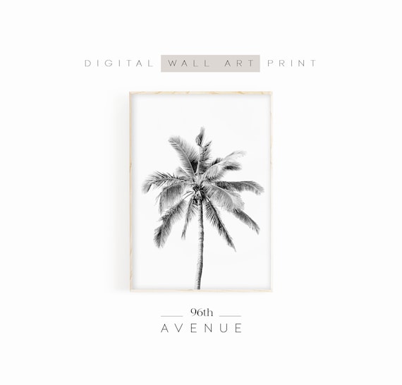 Black and White Palm Tree Minimalist Tropical Photography Art Print
