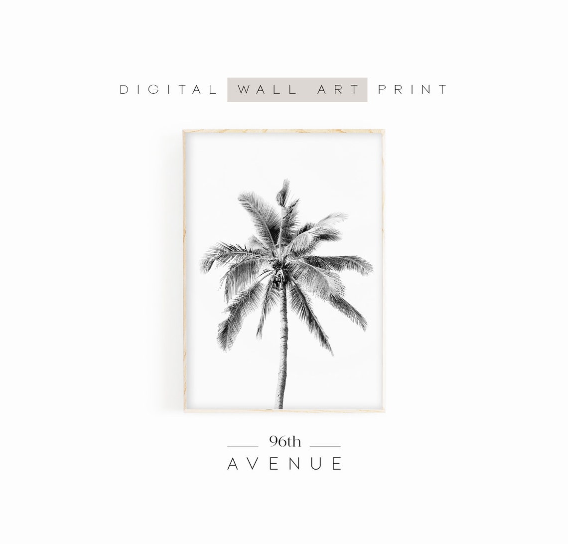 Black and White Palm Tree Minimalist Tropical Photography Art Print